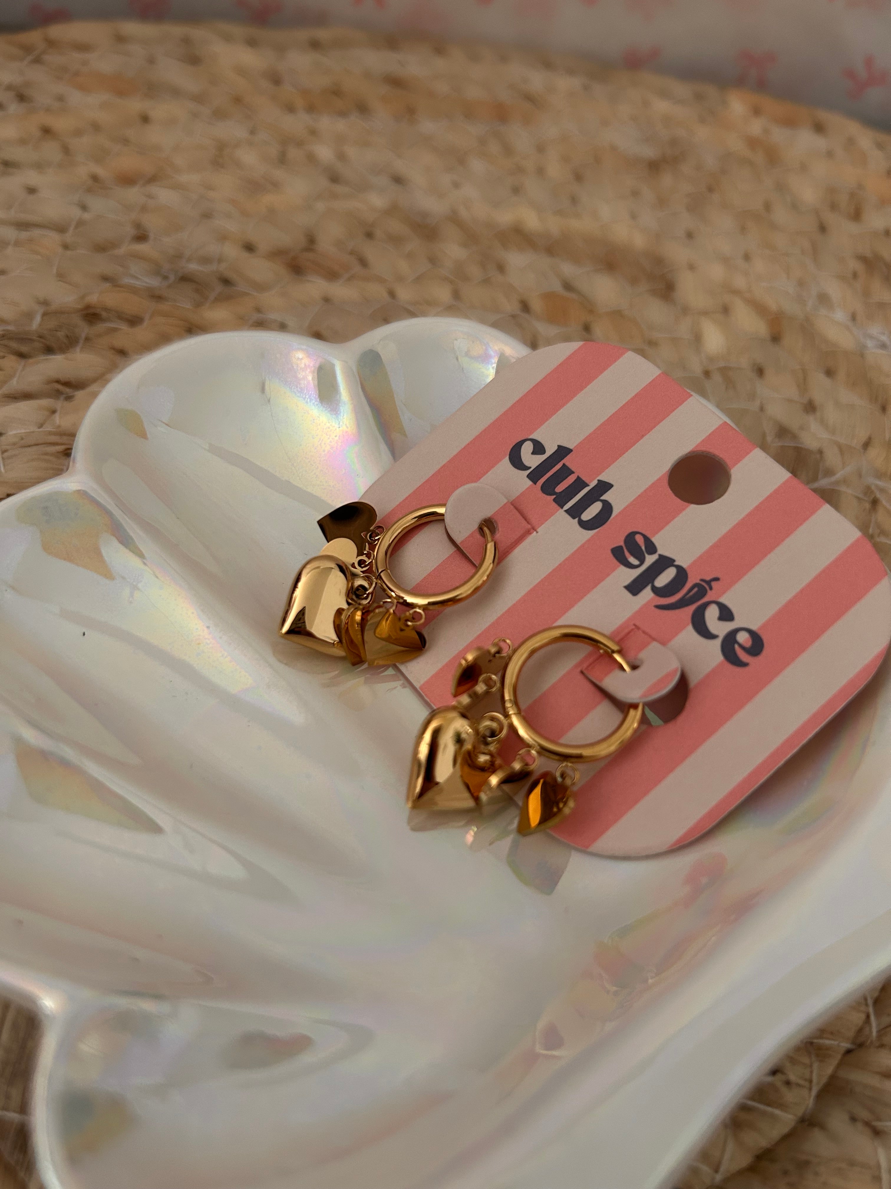 Earings with Heart Pendants